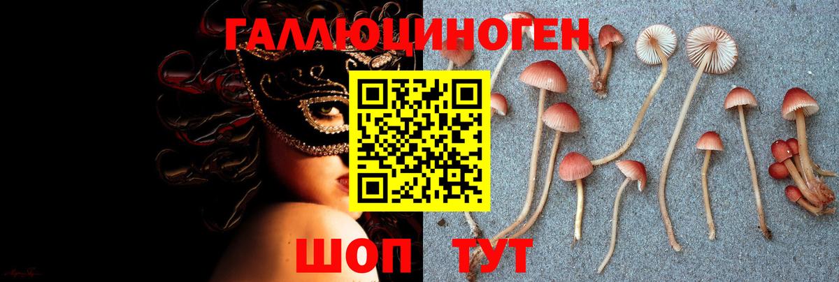 Псилоцибиновые грибы Magic Shrooms  Вход с VPN  Сосновый Бор  Галлюциногенные грибы мицелий 